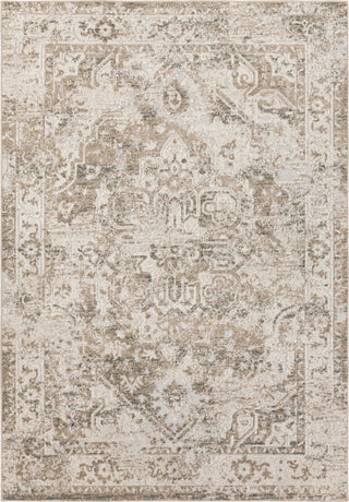 Surya Stardust SAS-1002 Khaki Black Ivory Area Rug main image