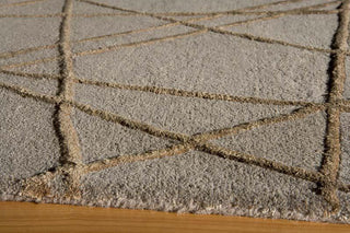 Momeni Satara SR-01 Taupe Area Rug Corner Shot