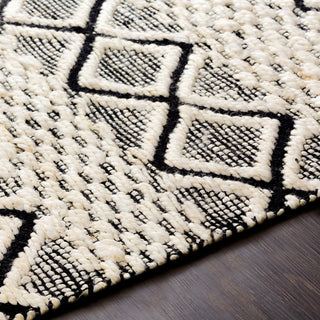 Surya Santa Barbara SBB-2301 Area Rug Detail