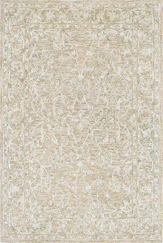 Surya Shelby SBY-1000 Cream Medium Gray Tan Light Area Rug main image