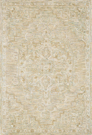 Surya Shelby SBY-1008 Khaki Sage Olive Taupe Tan Teal Area Rug main image