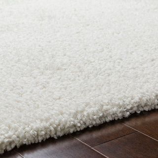 Surya Schapen SCA-1000 Area Rug Detail