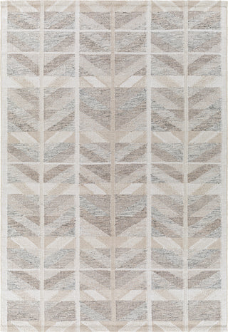 Surya Scandi SCD-2300 Area Rug main image