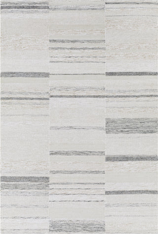 Surya Scandi SCD-2305 Area Rug main image