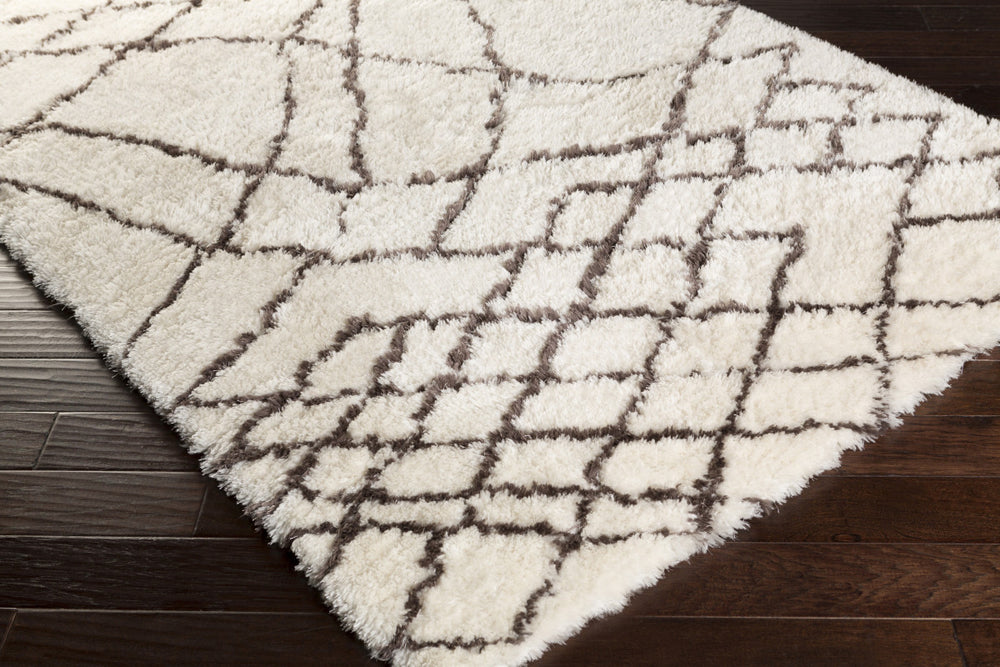 Surya Scout SCO-3003 Area Rug Corner Shot Feature