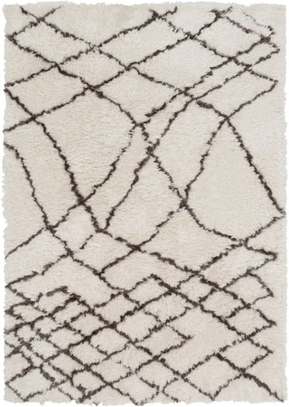 Surya Scout SCO-3003 Ivory Area Rug main image