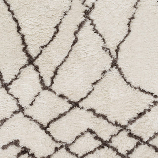 Surya Scout SCO-3003 Ivory Area Rug Sample Swatch