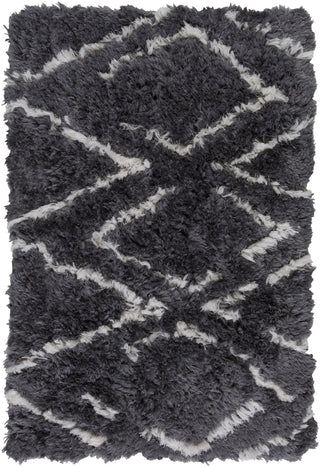 Surya Scout SCO-3004 Area Rug 2' X 3'