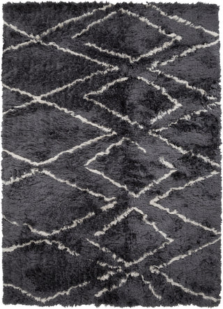 Surya Scout SCO-3004 Black Area Rug main image