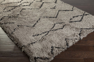 Surya Scout SCO-3005 Camel Area Rug Corner Shot