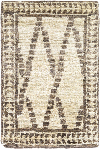 Surya Scarborough SCR-5137 Beige Area Rug 2' x 3'