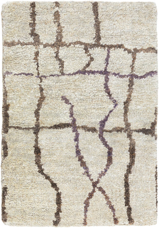 Surya Scarborough SCR-5141 Beige Area Rug 2' x 3'