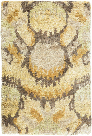 Surya Scarborough SCR-5153 Gold Area Rug 2' x 3'