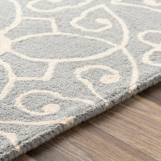 Surya Scott SCT-1008 Area Rug Detail