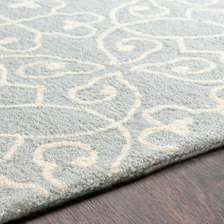 Surya Scott SCT-1013 Area Rug Detail