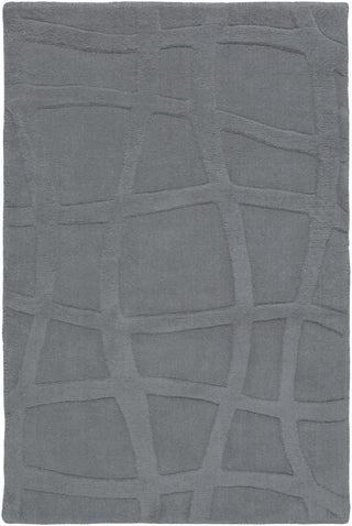 Surya Sculpture SCU-7506 Gray Area Rug by Candice Olson 2' x 3'