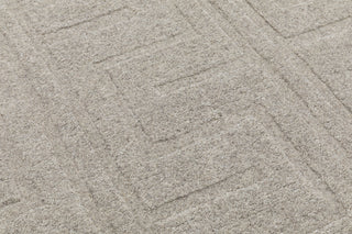 NuStory NuModern Sculpted Beige Area Rug 