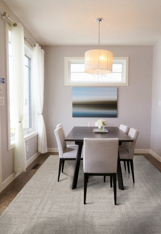 NuStory NuModern Sculpted Beige Area Rug 