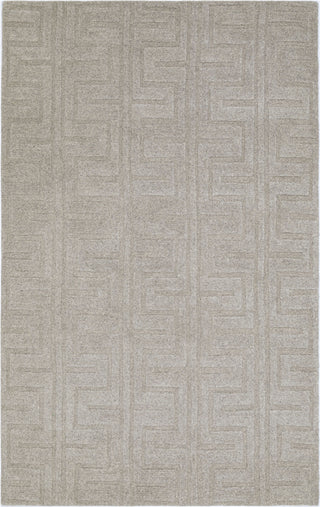 NuStory NuModern Sculpted Beige Area Rug main image