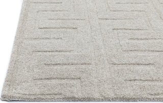 NuStory NuModern Sculpted Beige Area Rug 