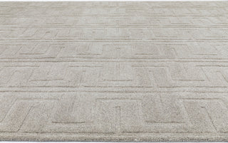 NuStory NuModern Sculpted Beige Area Rug 