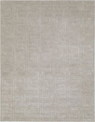 NuStory NuModern Sculpted Beige Area Rug 