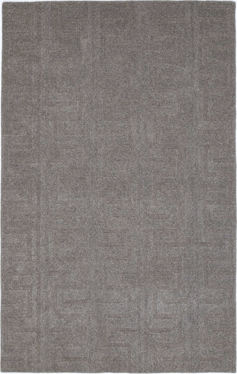 NuStory NuModern Sculpted Gray Area Rug main image