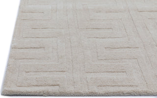 NuStory NuModern Sculpted Ivory Area Rug 