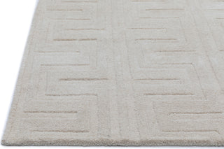 NuStory NuModern Sculpted Ivory Area Rug 