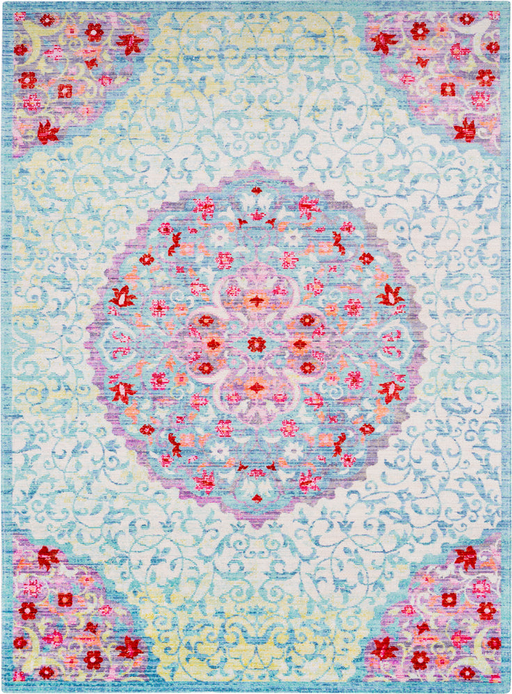 Surya Seasoned Treasures SDT-2300 Area Rug main image