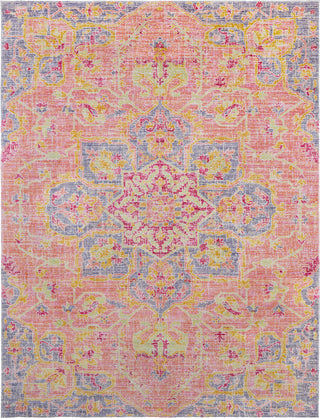 Surya Seasoned Treasures SDT-2302 Area Rug Main Image 8 X 10