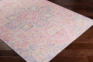 Surya Seasoned Treasures SDT-2302 Area Rug Corner Image