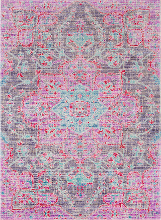 Surya Seasoned Treasures SDT-2303 Area Rug main image