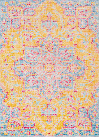 Surya Seasoned Treasures SDT-2305 Area Rug main image