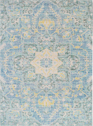 Surya Seasoned Treasures SDT-2306 Area Rug main image