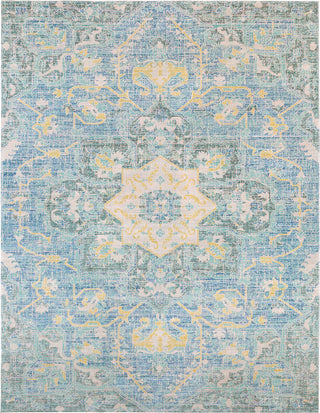 Surya Seasoned Treasures SDT-2306 Area Rug Main Image 8 X 10