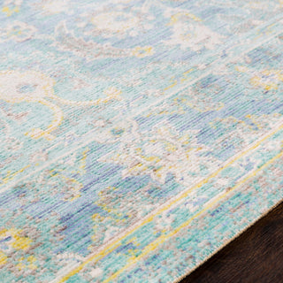 Surya Seasoned Treasures SDT-2308 Area Rug Texture Image