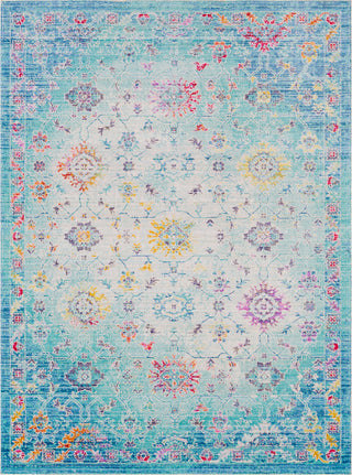 Surya Seasoned Treasures SDT-2310 Area Rug main image