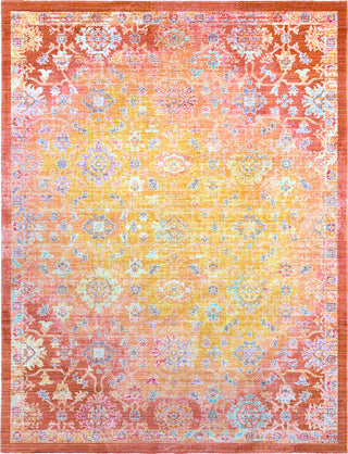 Surya Seasoned Treasures SDT-2312 Area Rug Main Image 8 X 10