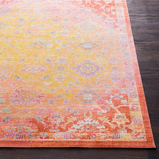 Surya Seasoned Treasures SDT-2312 Area Rug Detail Image