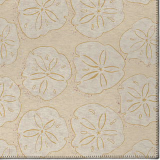 Dalyn Seabreeze SZ10 Ivory Area Rug Closeup Image