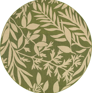 Tommy Bahama Seaside 1631G Green Area Rug Main Image