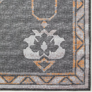 Dalyn Sedona SN16 Charcoal Area Rug Closeup Image