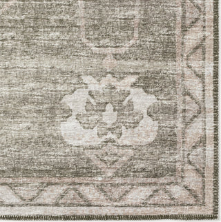 Dalyn Sedona SN16 Khaki Area Rug Closeup Image