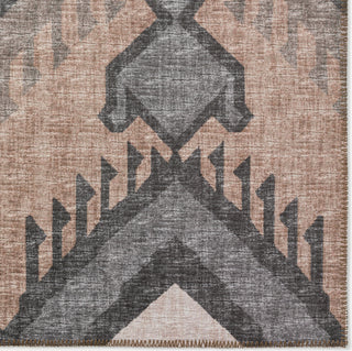 Dalyn Sedona SN2 Bison Area Rug Closeup Image