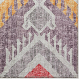 Dalyn Sedona SN2 Passion Area Rug Closeup Image