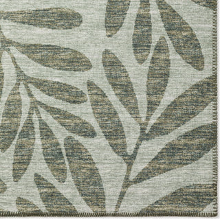 Dalyn Sedona SN5 Fernway Area Rug Closeup Image