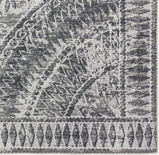 Dalyn Sedona SN7 Pewter Area Rug Closeup Image