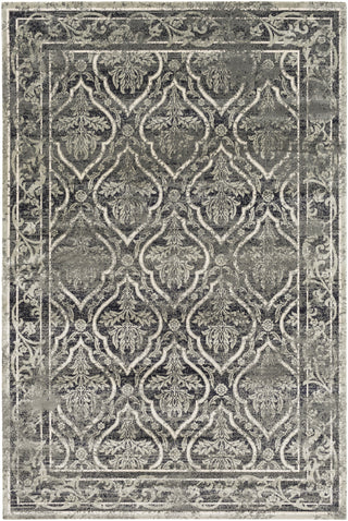 Surya Saverio SEO-4002 Gray Area Rug main image