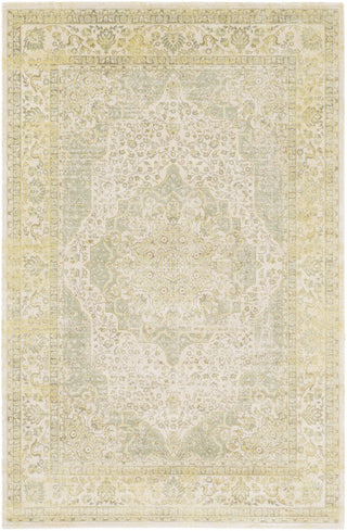 Saverio SEO-4008 Yellow Area Rug by Surya